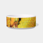 Golden Dragon Pet Bowl Cat Food Bowls Golden Dragon Pet Bowl Cat Food Bowls