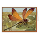 Golden Dragonfly cards by Memory_Lane Golden Dragonfly cards