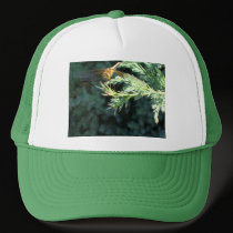 Golden Dragonfly hats