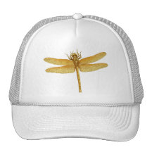 Golden Dragonfly Hat