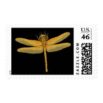 Golden Dragonfly Postage