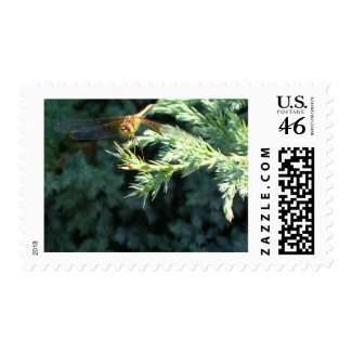 Golden Dragonfly stamp