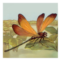 Golden Dragonfly posters