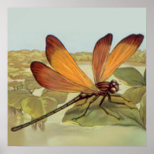 Golden Dragonfly Posters