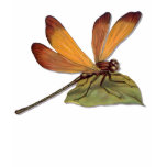 Golden Dragonfly T Shirt