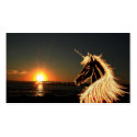 golden dreams business cards