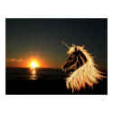 golden dreams posters