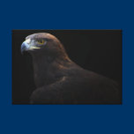 Golden Eagle bird wrapped canvas print canvas prints