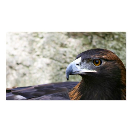 Golden eagle business card (front side)