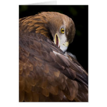 golden eagle cards
