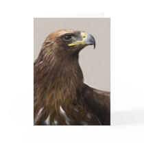 Golden eagle greeting card