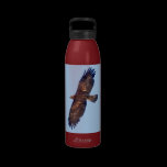Golden Eagle in Flight Water Bottle water bottles