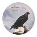 Golden Eagle Magnet by FalconsEye Golden Eagle Magnet