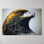 Golden Eagle Posters