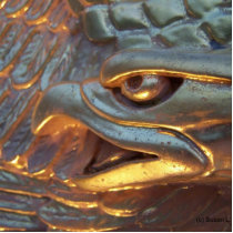 Golden eagle sculpture close up cut out