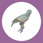 golden eagle