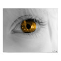 golden eye posters by pixelgirl golden eye posters