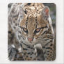 Golden Eyes Mousemat