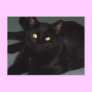 Golden eyes postcards