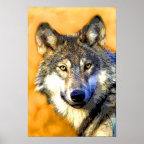 Golden Eyes (Wolf) Fine Art Prints