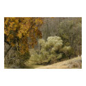 Golden Fall trees posters