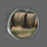 Golden Feed belt buckles