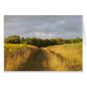 Golden Field cards