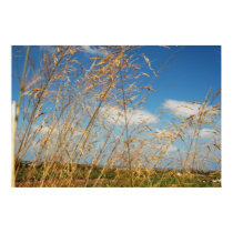 Golden Fields posters by hilory10028 Golden Fields posters
