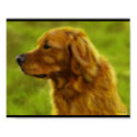 Golden Fields posters by DavisImages Golden Fields posters