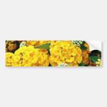 Golden Flower Bumper Stickers