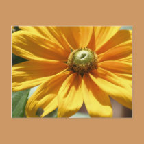 Golden Flower postcards
