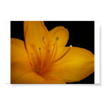 Golden Flower posters by DrPhizzle Golden Flower posters