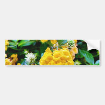 Golden Flowers Bumper Stickers