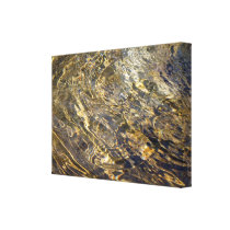 Golden Fountain Water 2 canvas prints