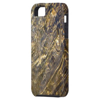 Golden Fountain Water 2 iPhone SE/5/5S Case