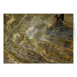 Golden Fountain Water Greeting Cards