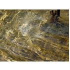 Golden Fountain Water