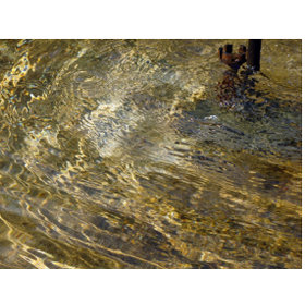 Golden Fountain Water