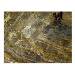 Golden Fountain Water Postcard