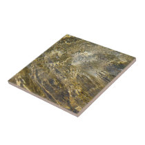 Golden Fountain Water tiles