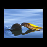 Golden Fronds Wrapped Canvas canvas prints