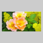 Golden Garden Beauty photo cards