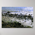  Golden Gardens - Seattle, WA Posters