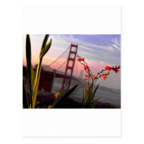 Golden Gate Bridge Garden view1 postcards