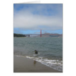 Golden Gate Bridge Jake cards