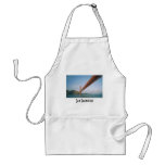 Golden Gate Bridge, San Francisco aprons