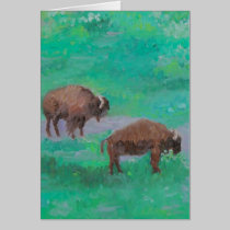 Golden Gate Park Buffalo cards