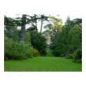 Golden Gate Park posters