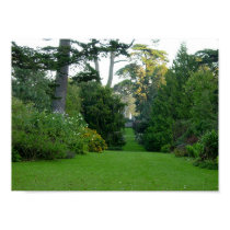 Golden Gate Park posters by kdreetz Golden Gate Park posters