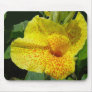 Golden Gift Of The Goddess Mousepad